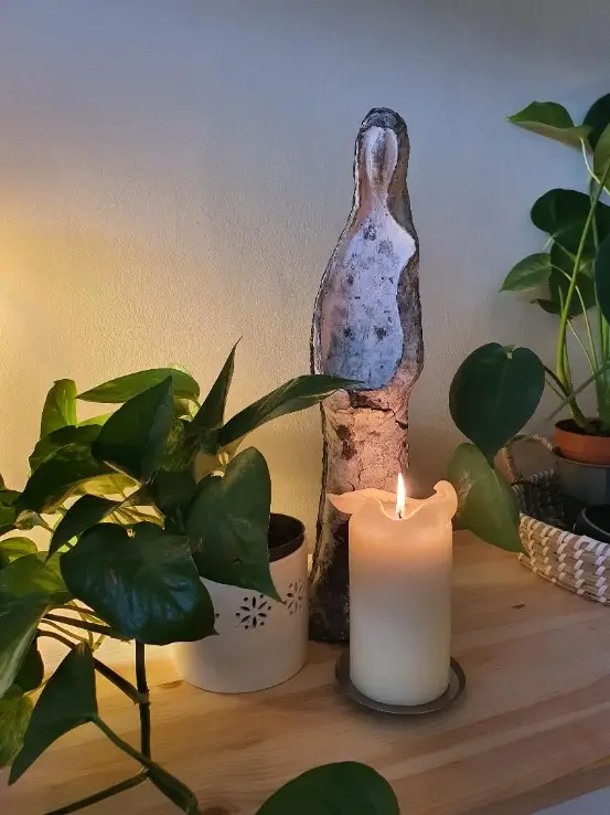 Natural decor in the Higham Holistic Therapies treatment room