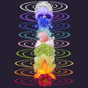 Chakra energy illustration for holistic wellbeing
