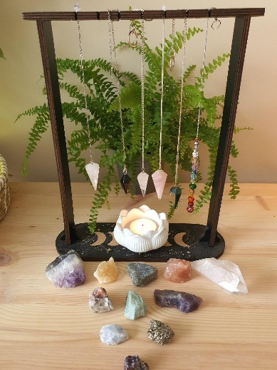 Natural plants in a calming holistic therapy room